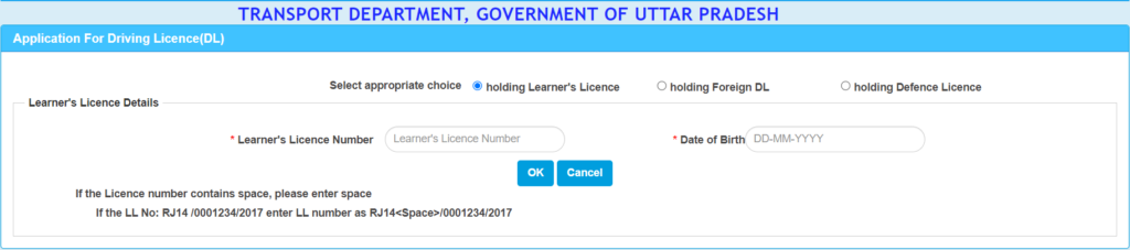 Driving License in India